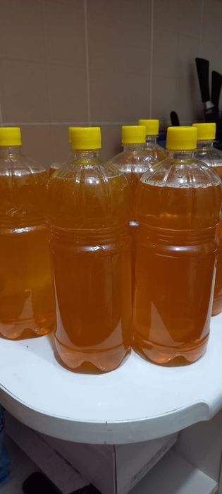 Продам Катон-Карагайский мёд