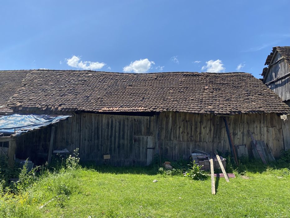 Sura din lemn de stejar