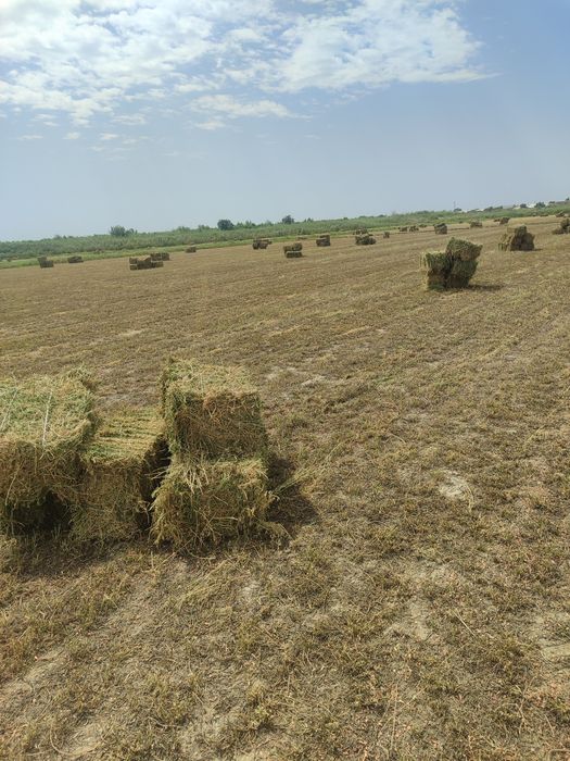 Beda bor sifatli