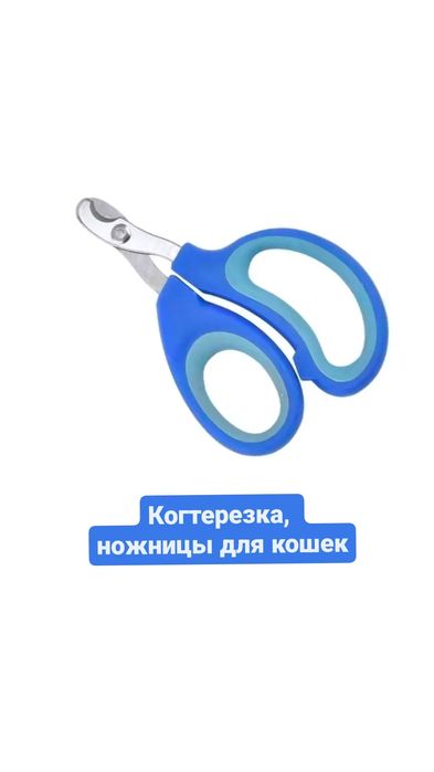 Переноски, боксы , лежанки