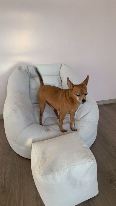 Продаю маленькое кресло