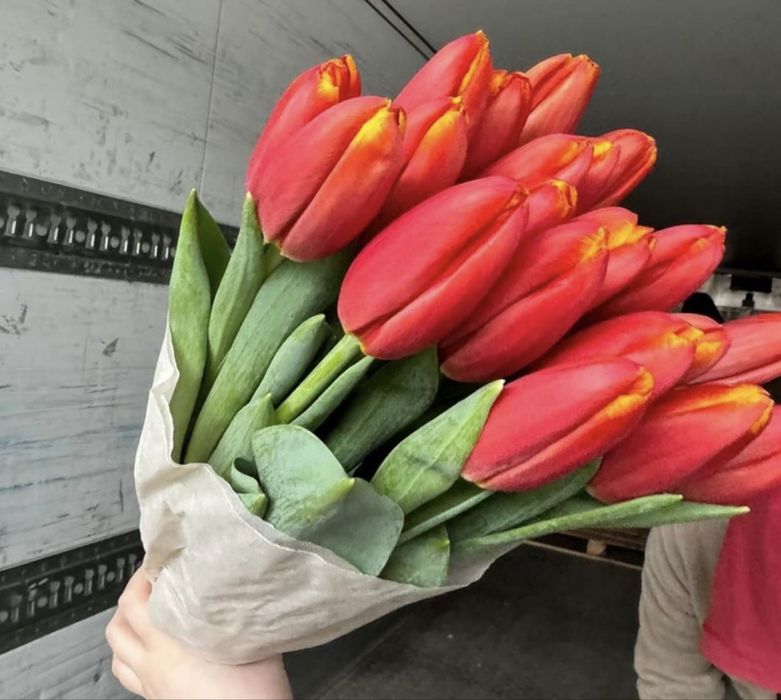 Тюльпаны для органицаций