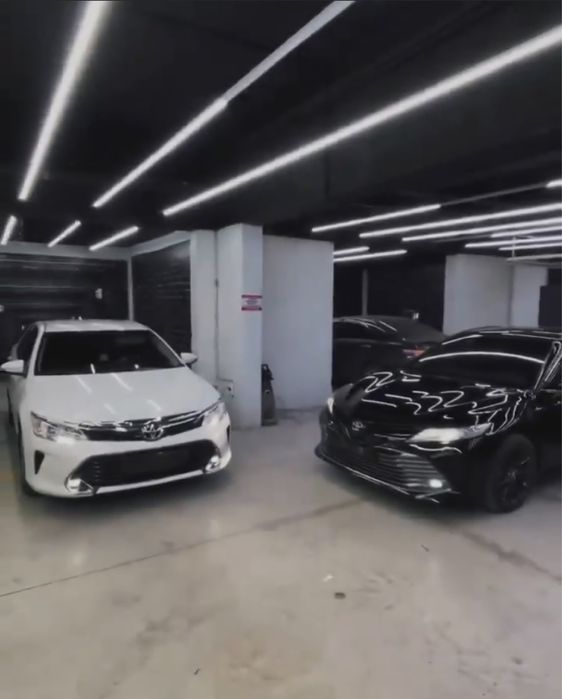 Тонировка  Быстро Качественно