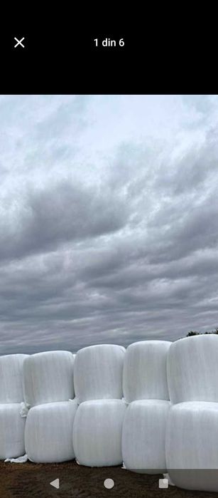 Baloți Siloz de porumb