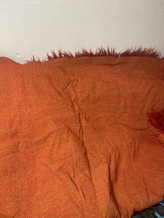 Родопски китеник