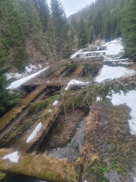 Продава се Земеделски имот в Лъки -  кв.м за 40000 €/дка - Снимка #8