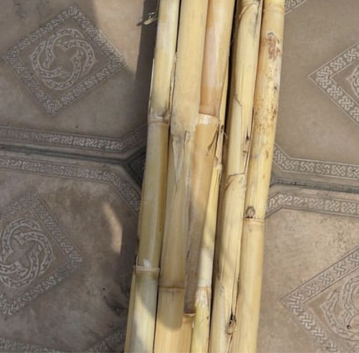 Бамбук палки стволы для декора