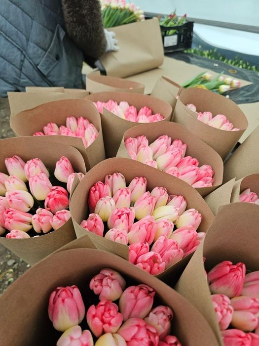 Тюльпаны по 600 тенге