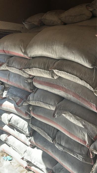 Семена люцерны Жонышка урыгы