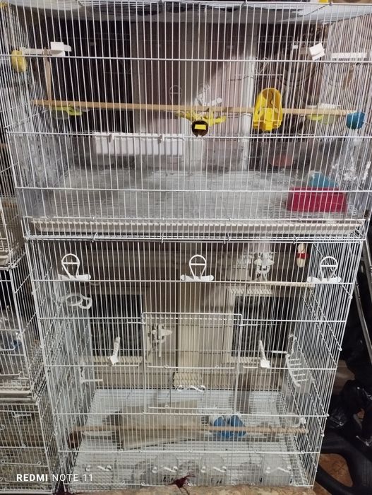 Кушлар учун кафас сотилади. Ахволи Зур  Зур.