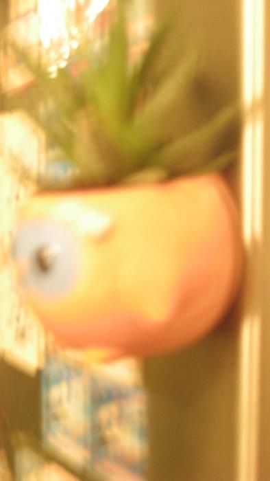 магнитна кашпичка