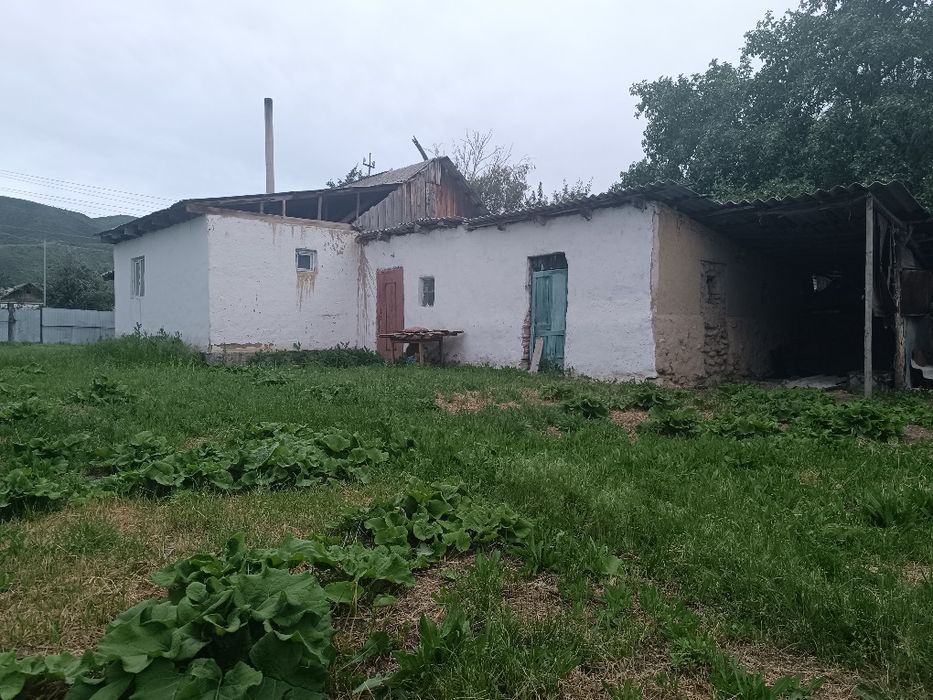 дом с малиновым садом/малина бақшасы бар үй