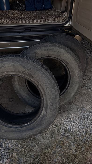 Продаю шины DUNLOP