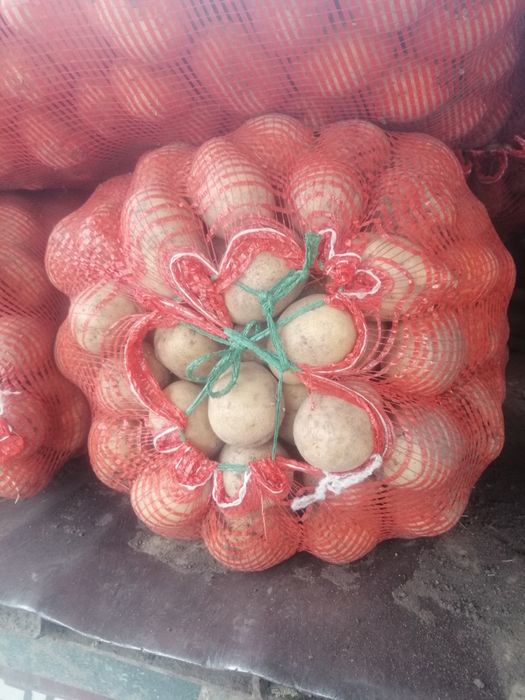 Продам картофель едавой