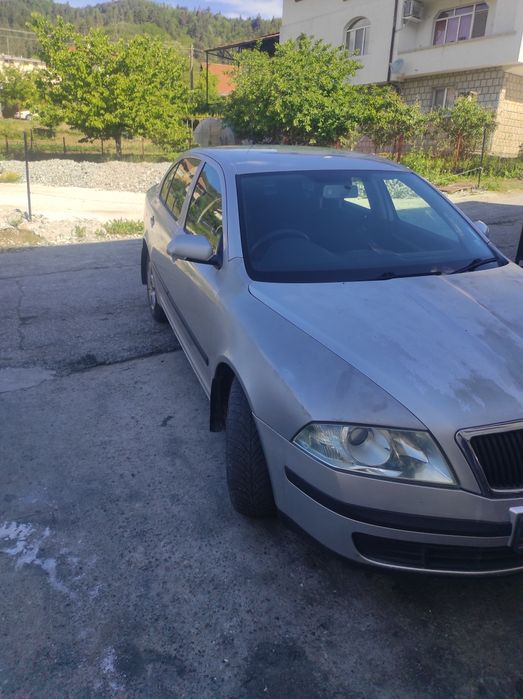 Шкода Октавия 1.9 тди 105кс на части