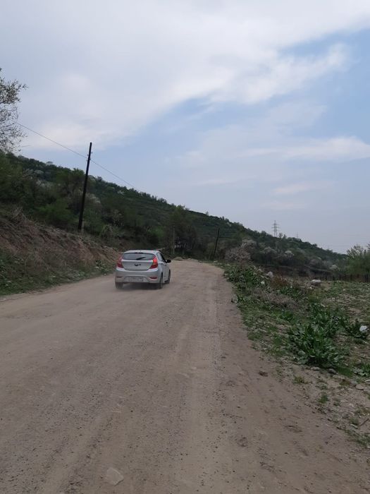 продам  сад срочно