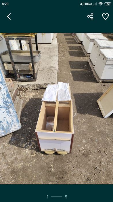 Обмен на мед гречневый