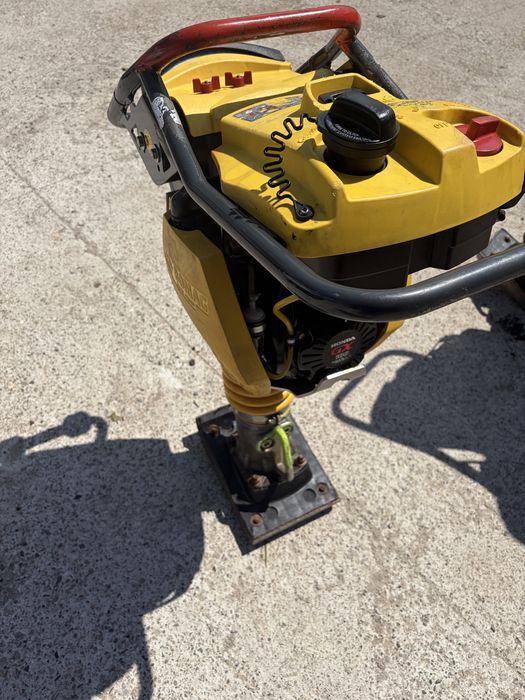 Maiuri bomag bt60