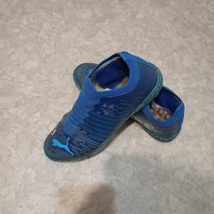 Сараконожки пума