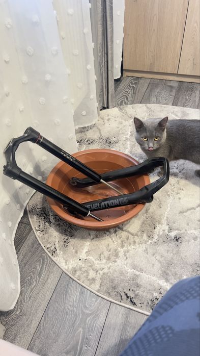 Rockshox reveltion RC