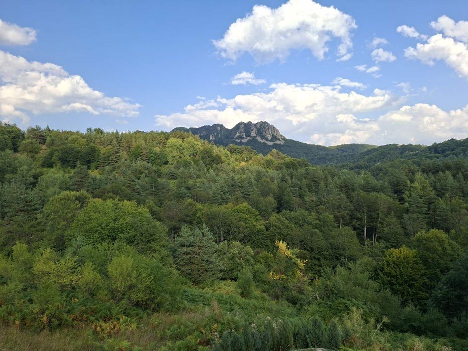 Продава се Парцел в с. Мостово, Област Пловдив - 909 кв.м за 51 €/кв.м - Снимка #7