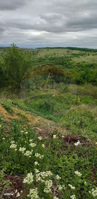 Teren 1826mp de vânzare în zona Gheorghe Doja, Oradea