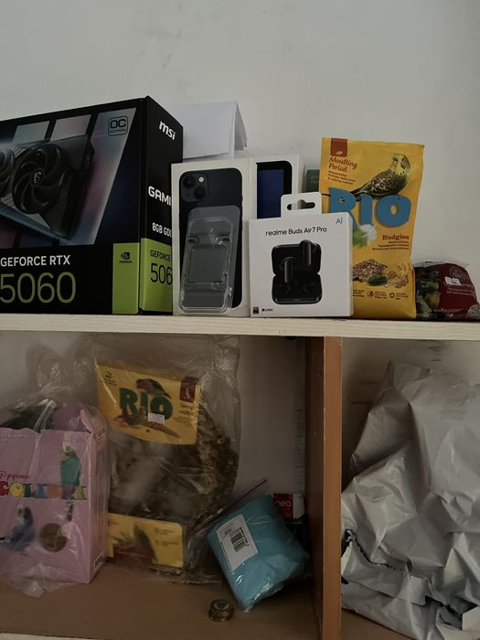 Попугай Волнистый