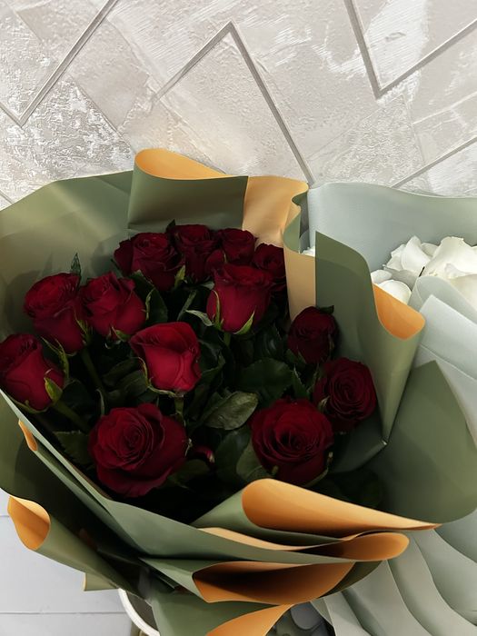Гүл солмаған свежии бүгінгі