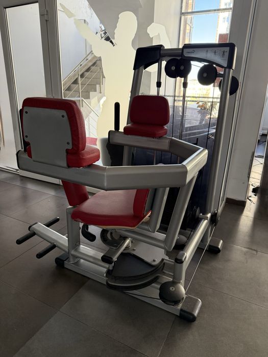 Aparat Rotary torso profesional