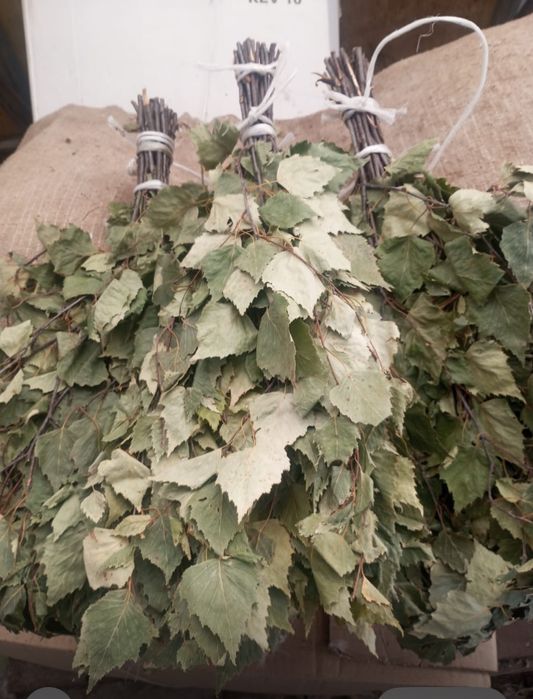 Березовые веники