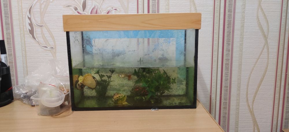 Аквариум для рыбок листков 8.