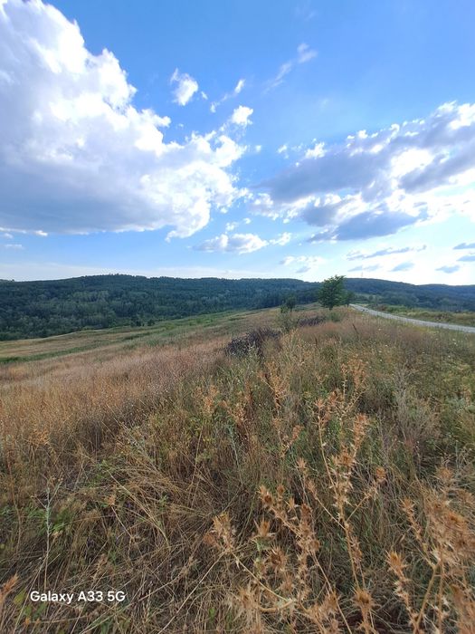 Teren intravilan,cca 40 HA BLOC UNIC ,zona ind.servicii, arabil, ,pasi