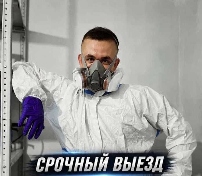 Dezinfeksiya xizmati | Дезинфекция 24/7 | Клопы тараканы | Выезд 1 час