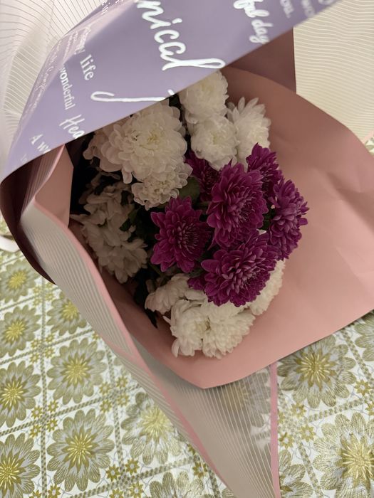 Харизентема розы все свежие