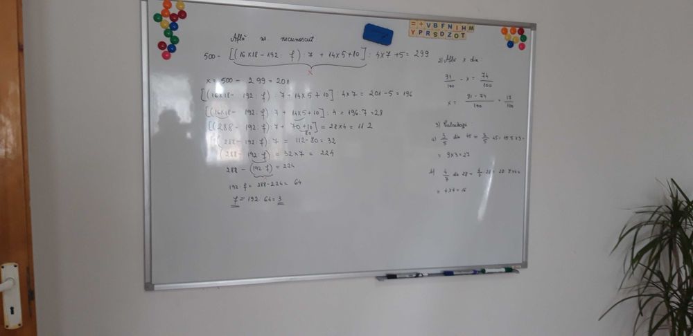 Meditaţii  la matematică si la limba română