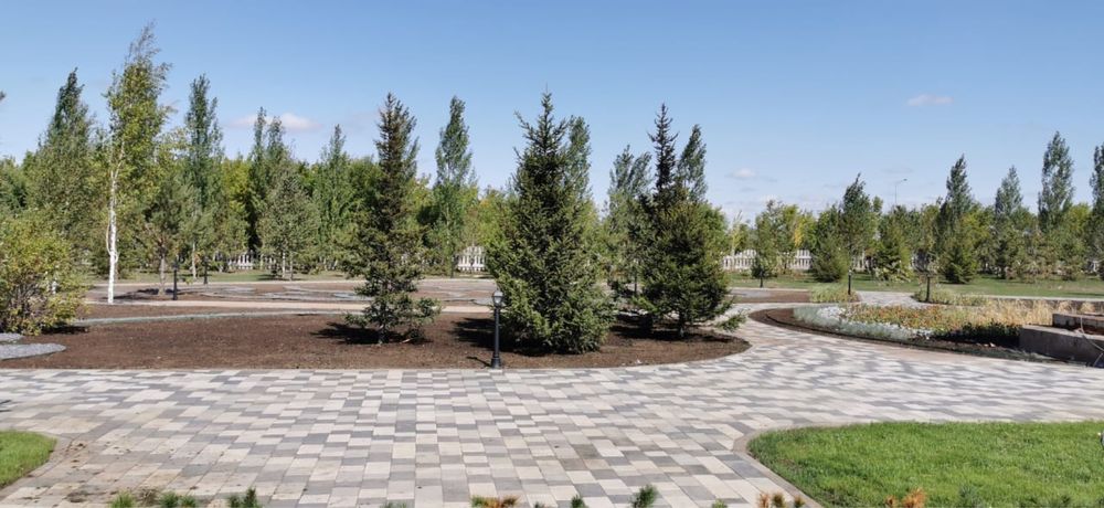 ОЗЕЛЕНЕНИЕ Профессионально