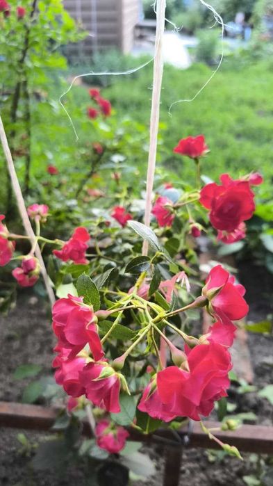 продам шикарный дом