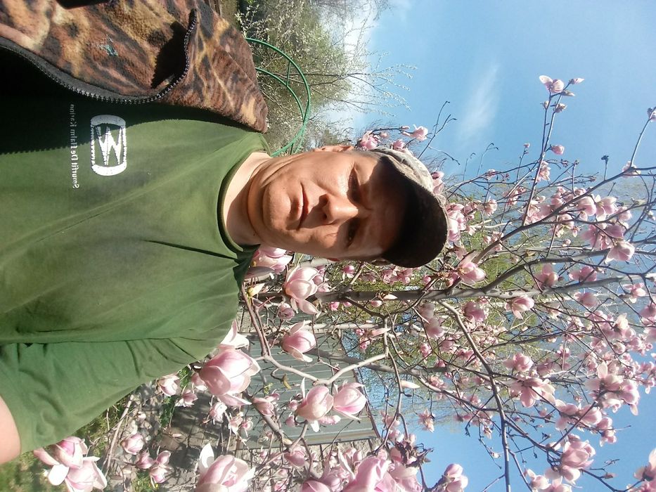 Осения обрезка плодово-ягодных деревьев. Удаление старых деревьев ...