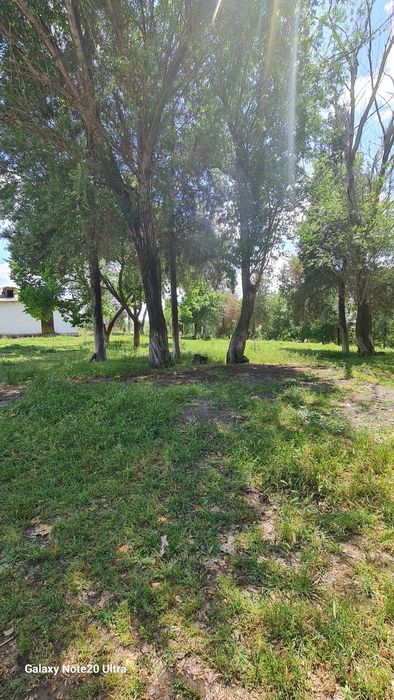 Цех Ферма Склад Ишлаб чикариш учун ижарага жой берилади