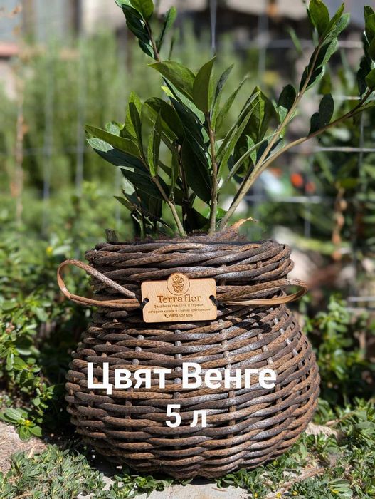 Ексклузивни авторски саксии от екоратан– ръчна изработка