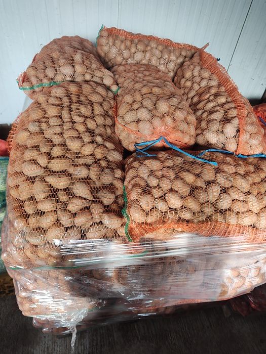Cartofi mărunți/animale/sămânță 0,99lei/kg. Cartofi calitate extra1,59