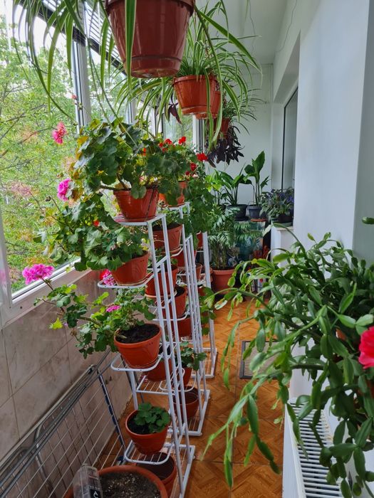 Apartament decomandat cu 3 camere