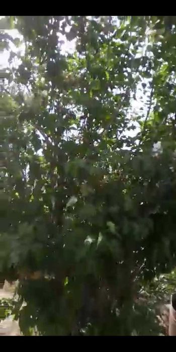 Срочно продается дачу Теплоснабжениц