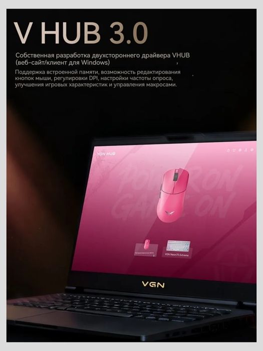 Vgn f2 master gt