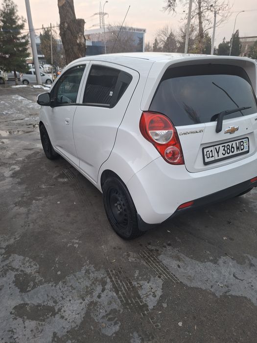 Спорк 2020й краска тоза