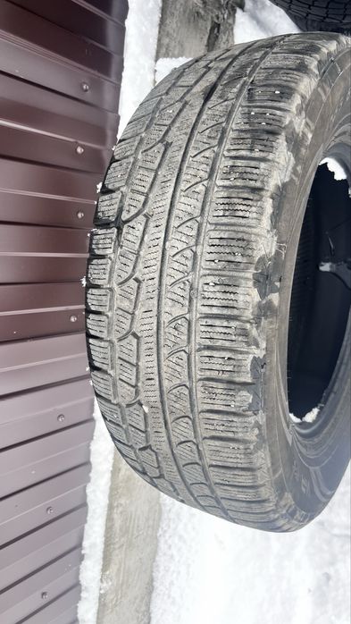 Продам Шина nokian