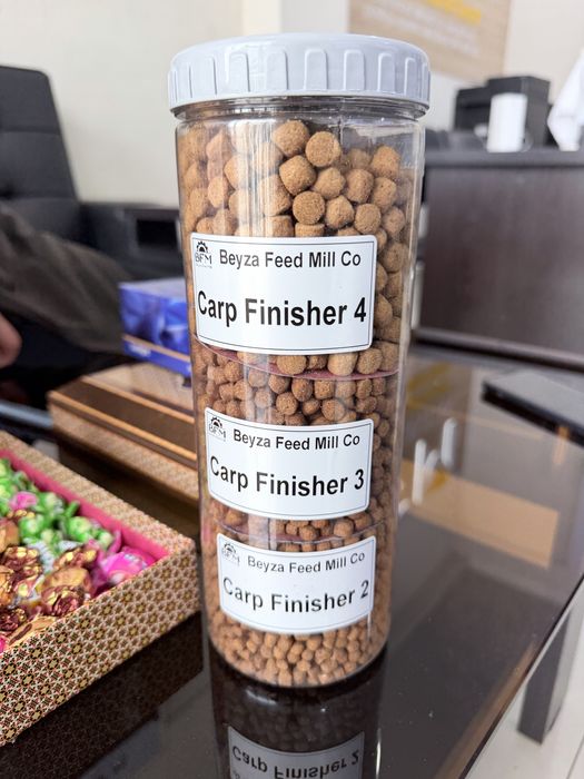 Сазан (карп) учун Премиум озуқа