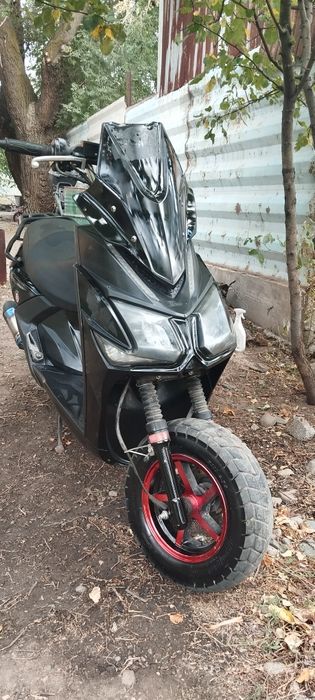 Лия Самурай 150сс