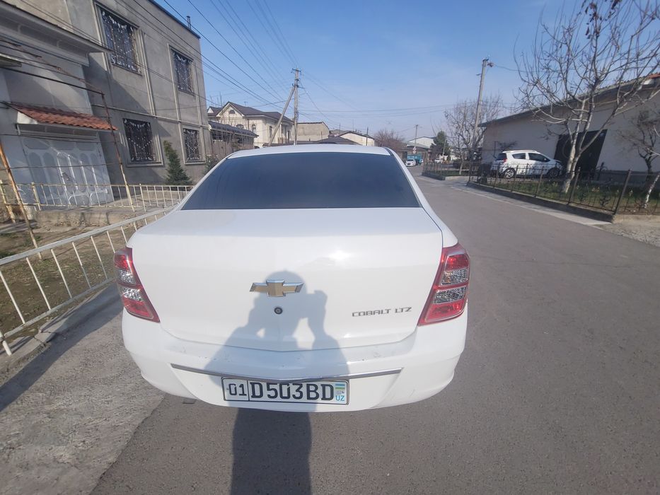 Kobalt 2024 yil okyabr