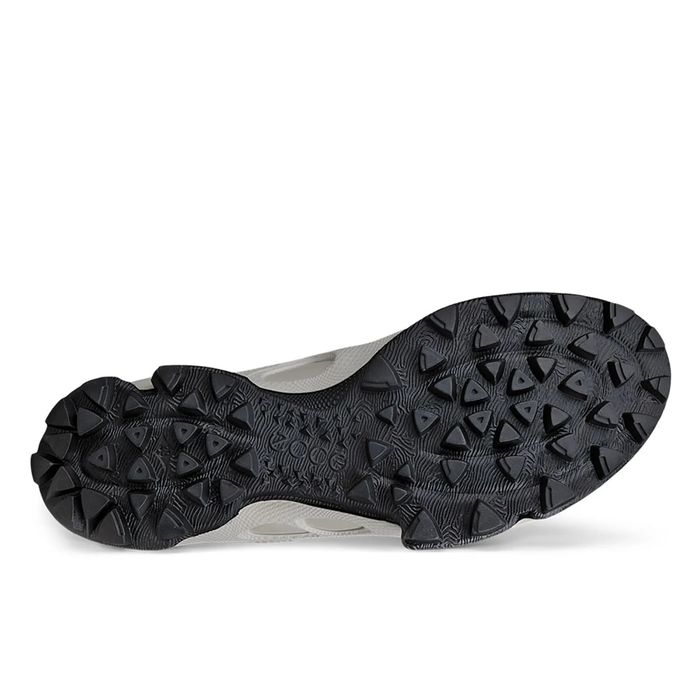 Adidași sport impermeabili Biom C Trail W